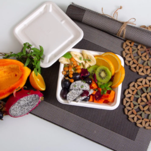 Small Biodegradable Food Container with Lid