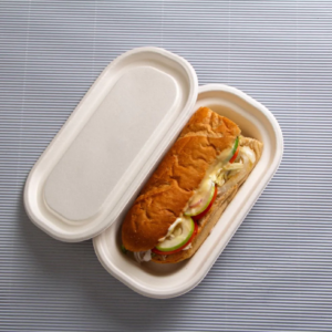 Biodegradable Food Container with Lid
