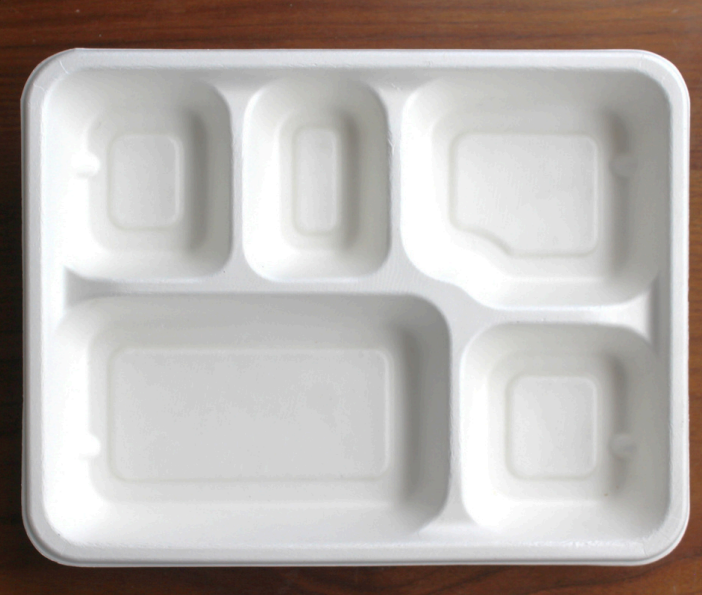 5CP Rectangular Meal Tray